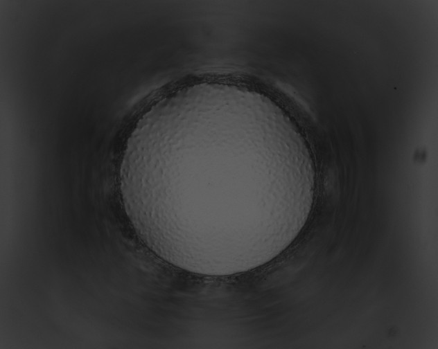 X0000091861350200710031032