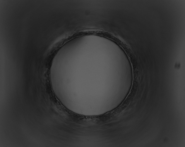 X0000091861351200710031032