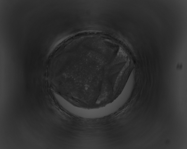 X0000091861352200710031032