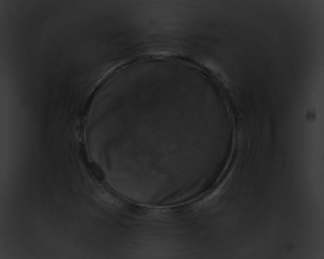 X0000091861353200710031032