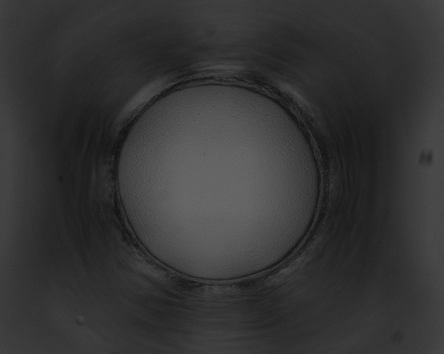 X0000091861354200710031032