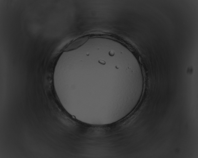 X0000091861355200710031032