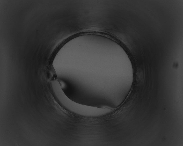 X0000091861356200710031032