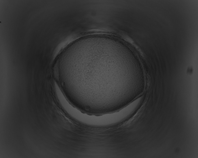 X0000091861357200710031032