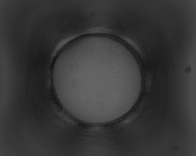 X0000091861358200710031032