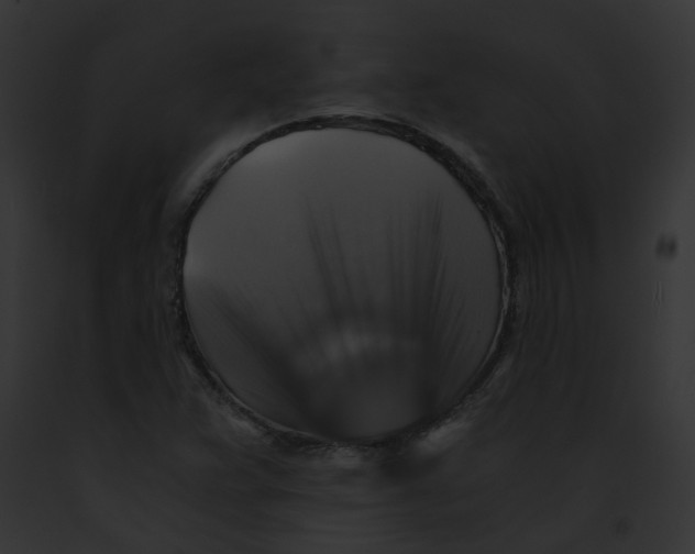 X0000091861359200710031032