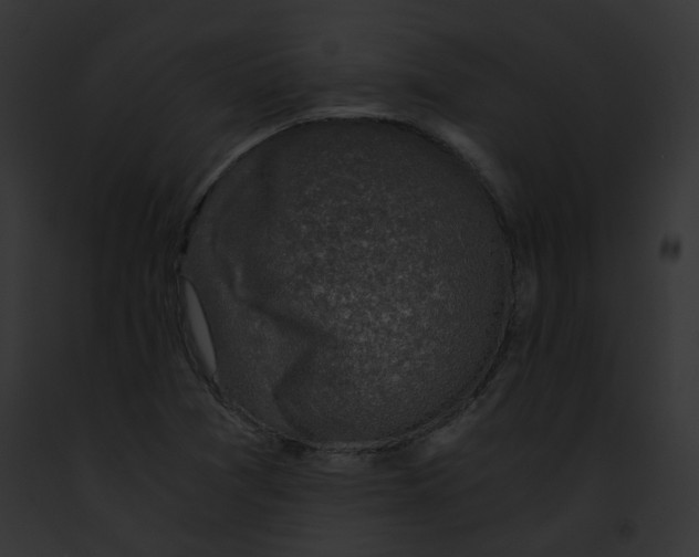 X0000091861361200710031032