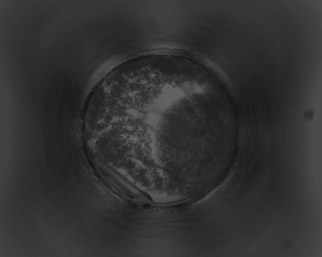 X0000091861362200710031032