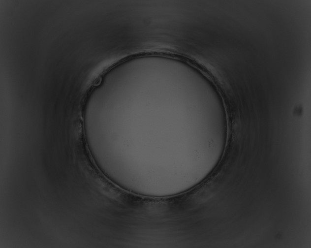 X0000091861363200710031032