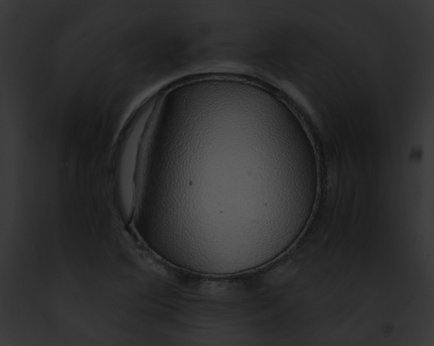 X0000091861364200710031032