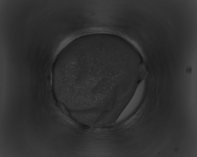 X0000091861365200710031032