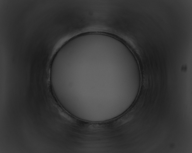 X0000091861366200710031032