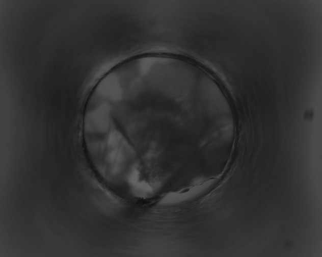 X0000091861367200710031032