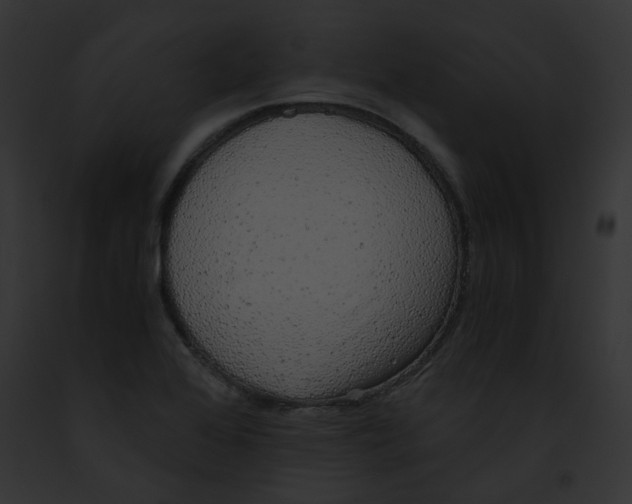 X0000091861368200710031032