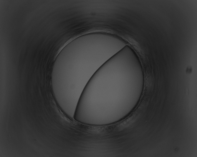 X0000091861369200710031032