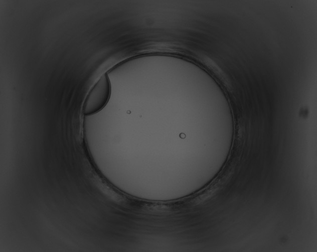 X0000091861370200710031031