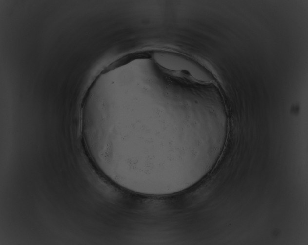 X0000091861371200710031031