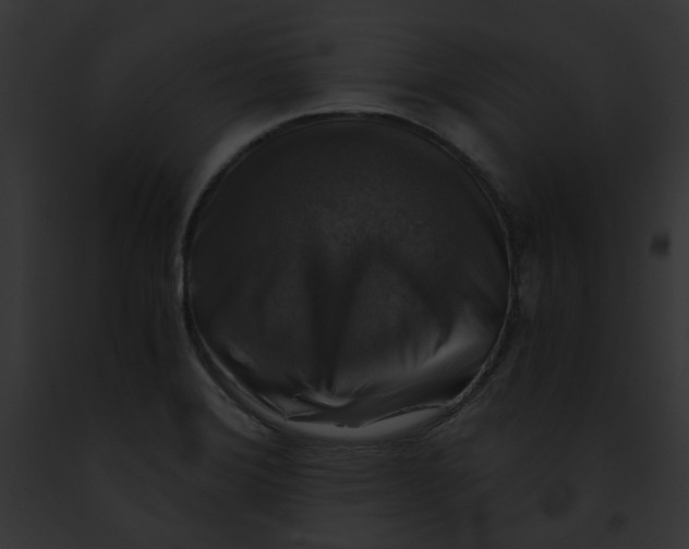 X0000091861372200710031031