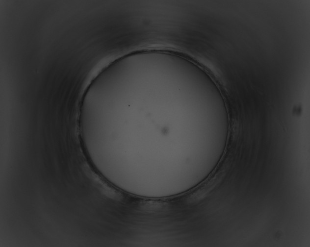 X0000091861374200710031031