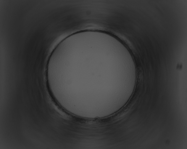 X0000091861375200710031031