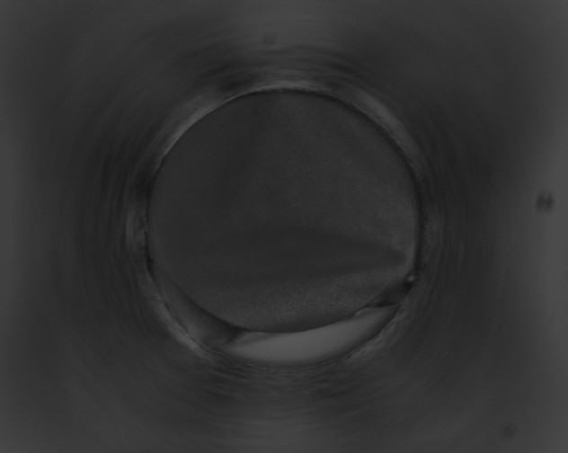 X0000091861377200710031031