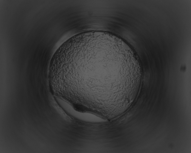 X0000091861378200710031031