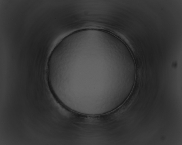 X0000091861379200710031031