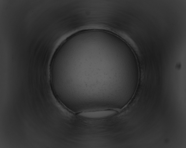 X0000091861380200710031031