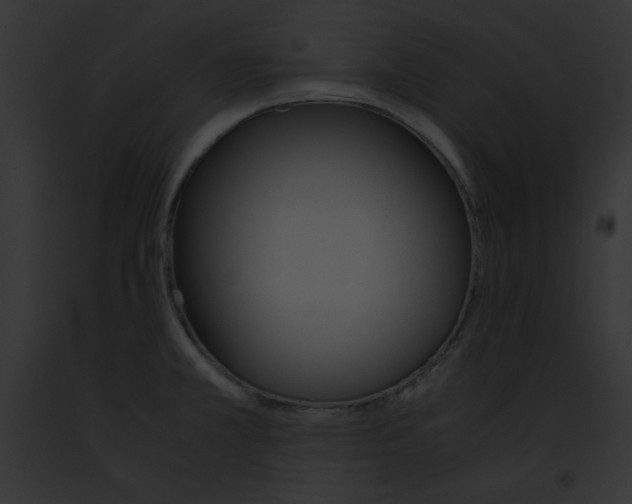 X0000091861381200710031031