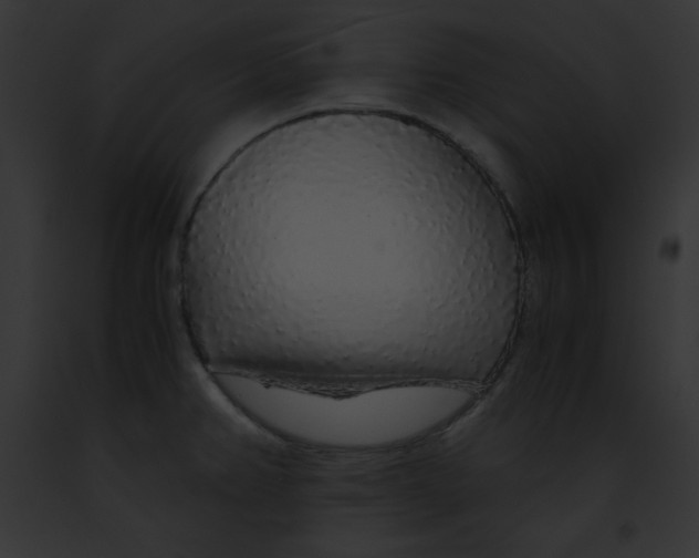 X0000091861382200710031031