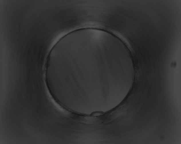 X0000091861383200710031031