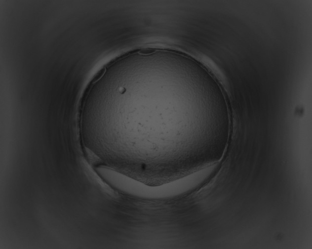 X0000091861384200710031031