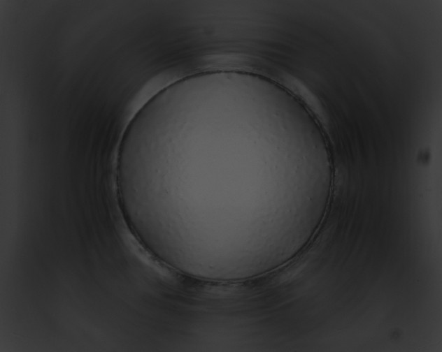 X0000091861386200710031031