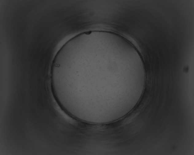 X0000091861387200710031031