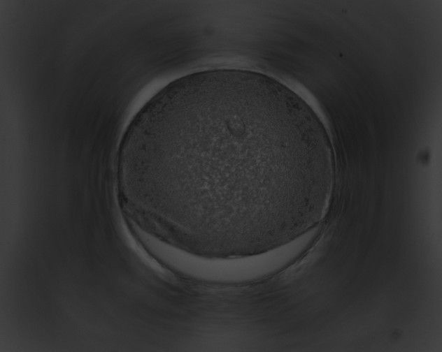 X0000091861389200710031031