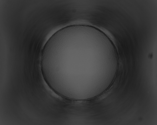 X0000091861390200710031031