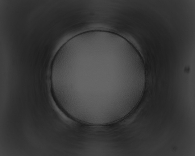 X0000091861391200710031031