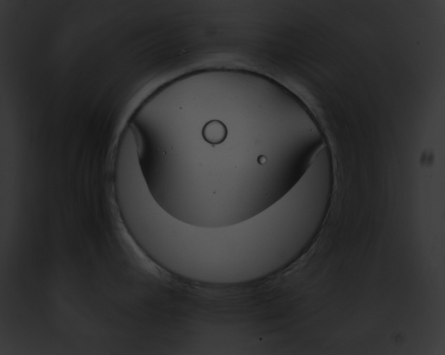 X0000091861392200710031031