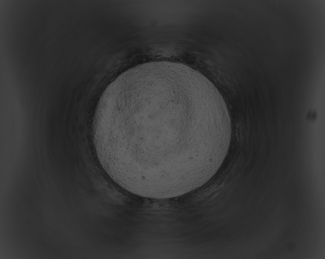 X0000091861393200710031030