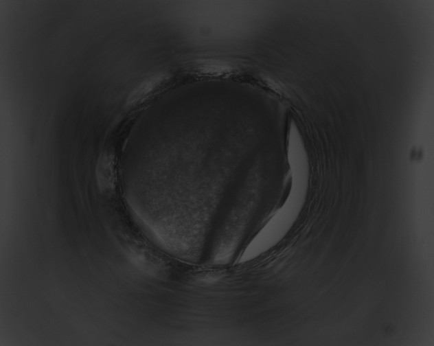 X0000091861394200710031030