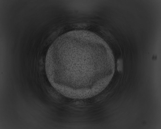 X0000091861395200710031030