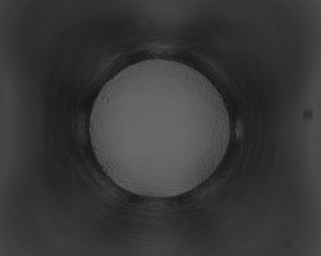 X0000091861396200710031030