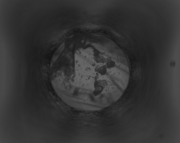 X0000091861397200710031031