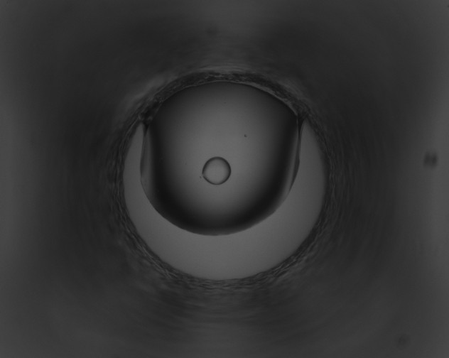 X0000091861398200710031031