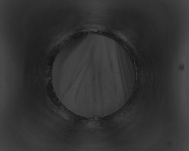 X0000091861399200710031031