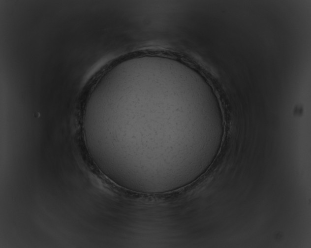 X0000091861400200710031031