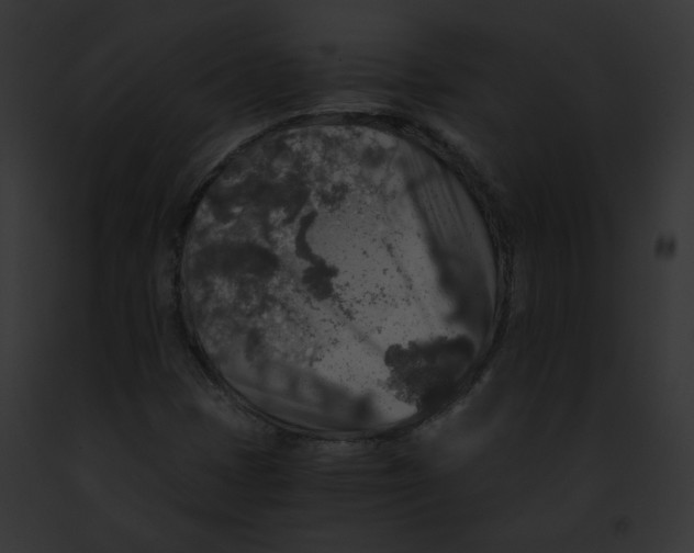 X0000091861401200710031031