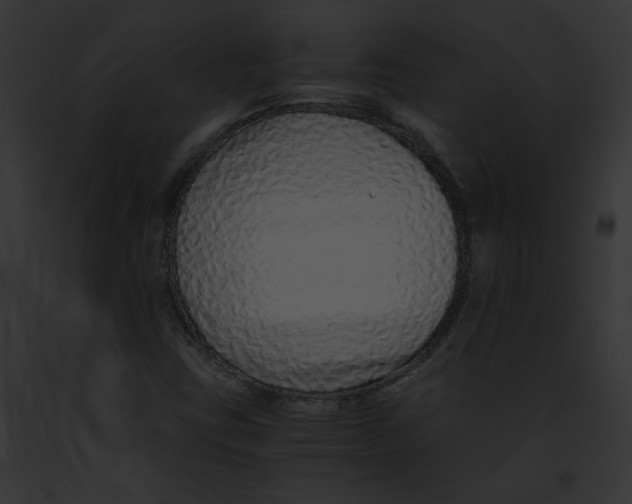 X0000091861403200710031031