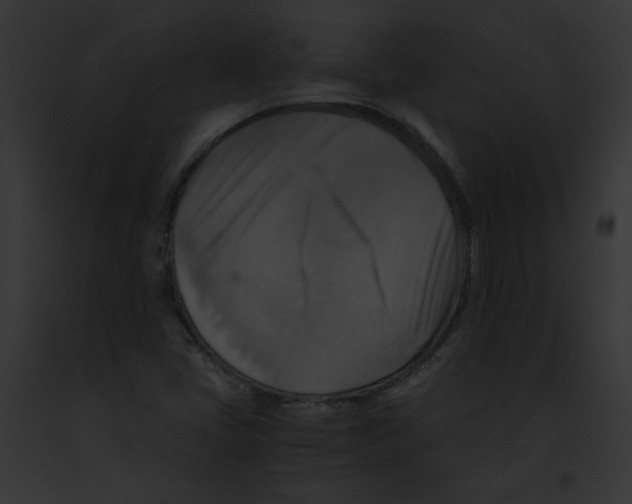 X0000091861405200710031031