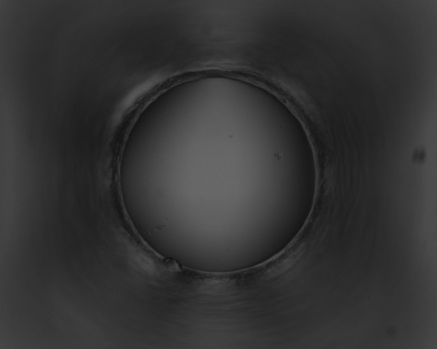 X0000091861406200710031031